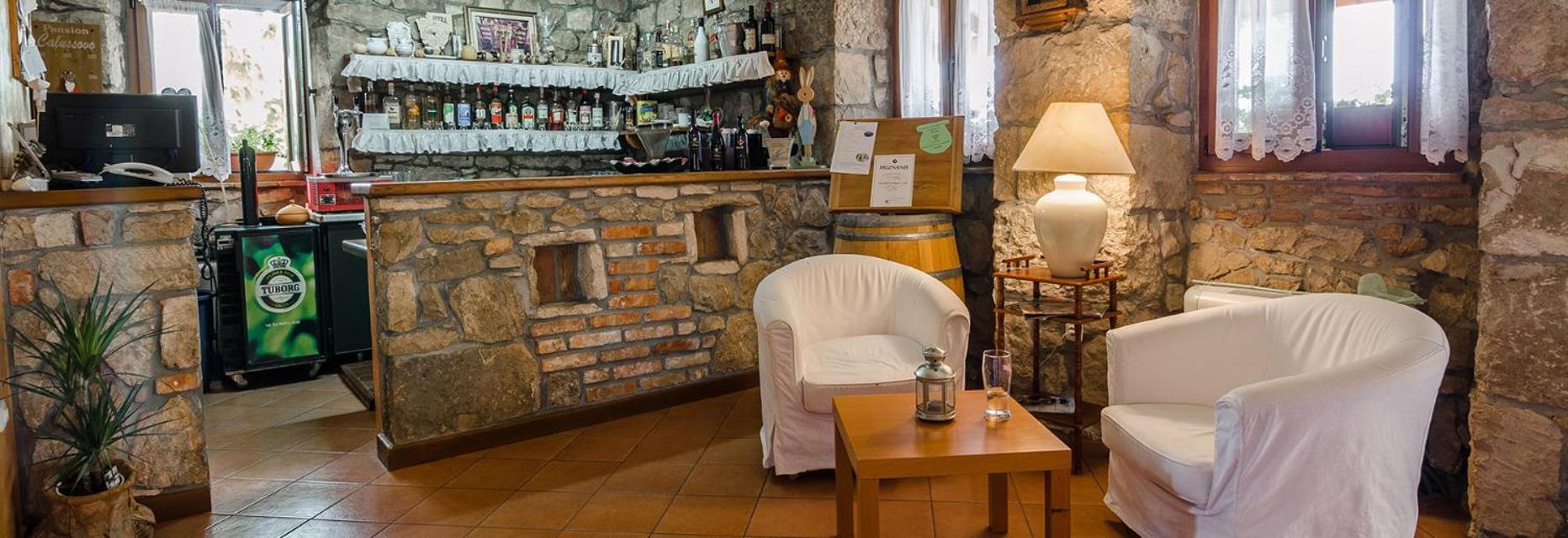 Villa Calussovo Ripenda Kras 外观 照片