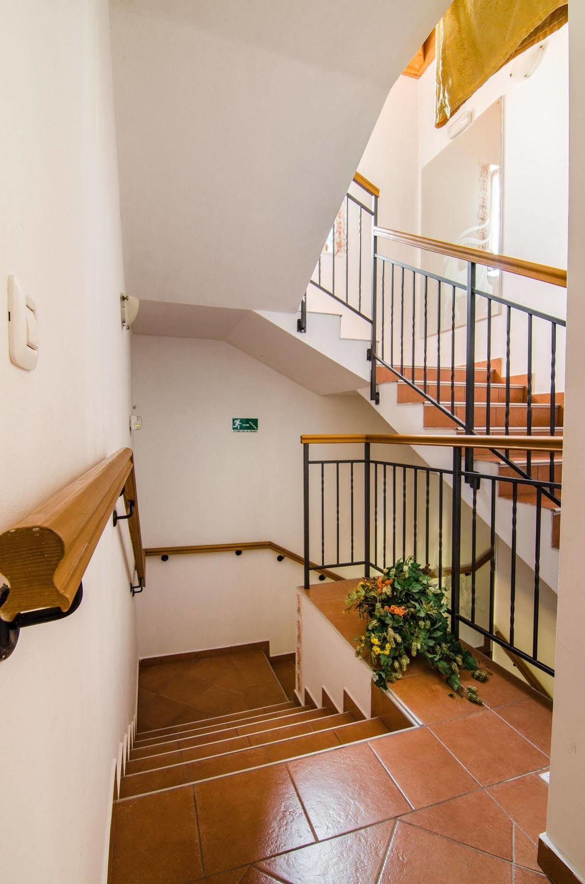 Villa Calussovo Ripenda Kras 外观 照片